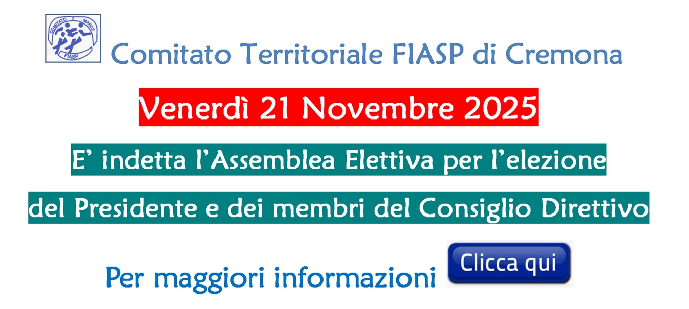 Elezioni 2025